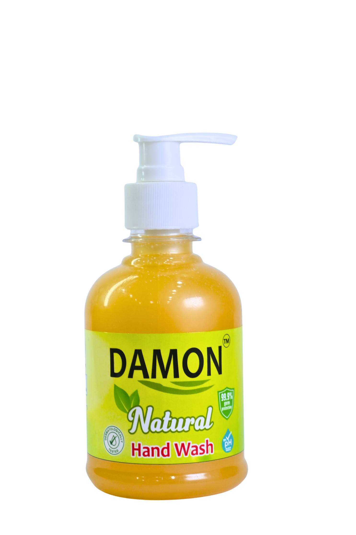 Damon Hand Wash